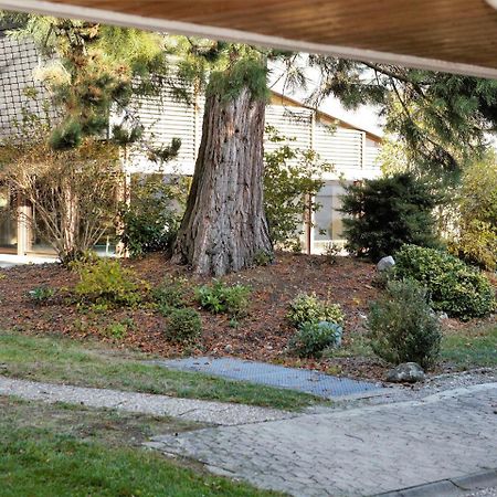 Ferienwohnung Konigsegg Ines Koch Reichenau Εξωτερικό φωτογραφία